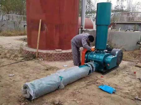 (羅茨風(fēng)機(jī)維護(hù)保養(yǎng))羅茨鼓風(fēng)機(jī)維護(hù)保養(yǎng)小妙招 (羅茨風(fēng)機(jī)維護(hù)保養(yǎng))羅茨鼓風(fēng)機(jī)維護(hù)保養(yǎng)小妙招