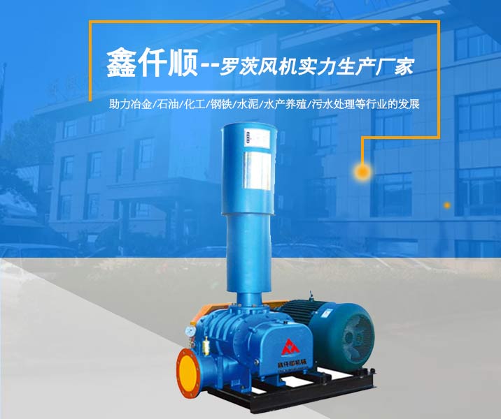 羅茨鼓風(fēng)機(jī) 羅茨鼓風(fēng)機(jī)