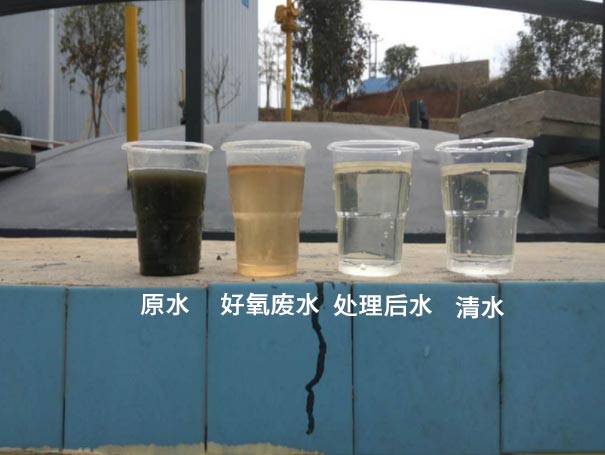 污水曝氣羅茨鼓風(fēng)機(jī)應(yīng)用案例 污水曝氣羅茨鼓風(fēng)機(jī)應(yīng)用案例